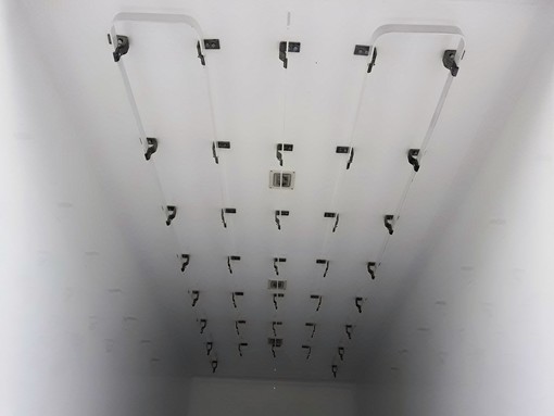 carnicera-2